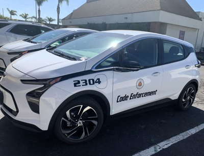 Custom vehicle graphics Photo